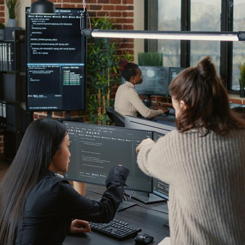 LLM Development  Company